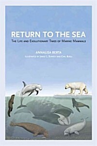 Return to the Sea: The Life and Evolutionary Times of Marine Mammals (Hardcover)