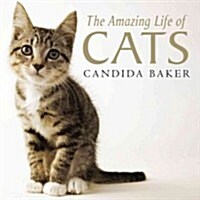 The Amazing Life of Cats (Paperback)
