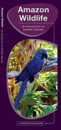 Amazon Wildlife: A Folding Pocket Guide to Familiar Animals (Folded, 2)
