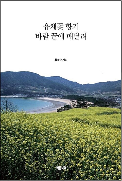 유채꽃 향기 바람 끝에 매달려