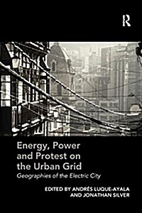 Energy, Power and Protest on the Urban Grid : Geographies of the Electric City (Paperback)