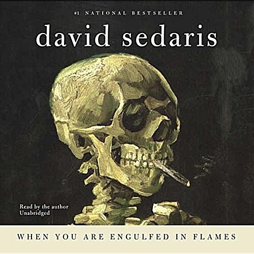 When You Are Engulfed in Flames Lib/E (Audio CD)