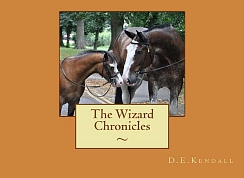 The Wizard Chronicles (Paperback)