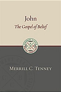 John: The Gospel of Belief: An Analytic Study of the Text (Paperback)