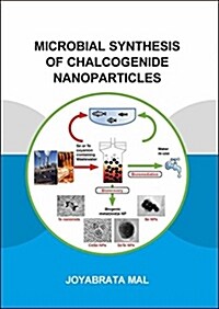 Microbial Synthesis of Chalcogenide Nanoparticles : Combining Bioremediation and Biorecovery of Chalcogen in the Form of Chalcogenide Nanoparticles (Paperback)