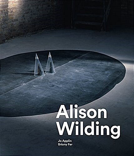 Alison Wilding (Hardcover)