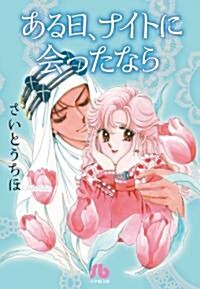 ある日、ナイトに會ったなら (小學館文庫) (文庫)