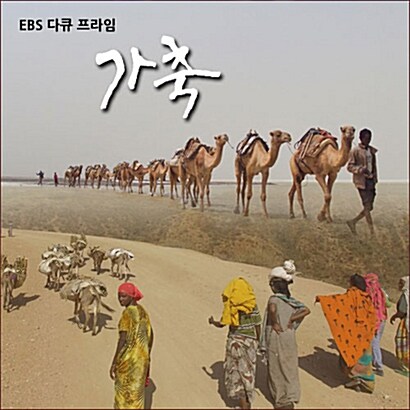 EBS 가축 [녹화물] (4disc)