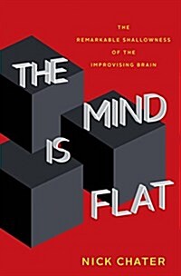 The Mind Is Flat: The Remarkable Shallowness of the Improvising Brain (Hardcover)
