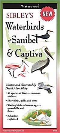 Sibleys Waterbirds of Sanibel & Captiva (Other)