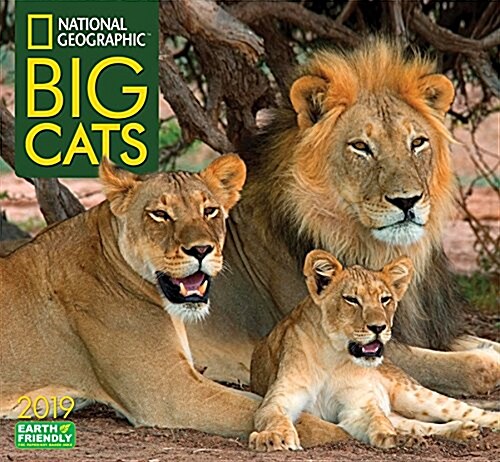 National Geographic Big Cats 2019 Calendar (Wall)