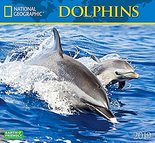 National Geographic Dolphins 2019 Calendar (Wall)