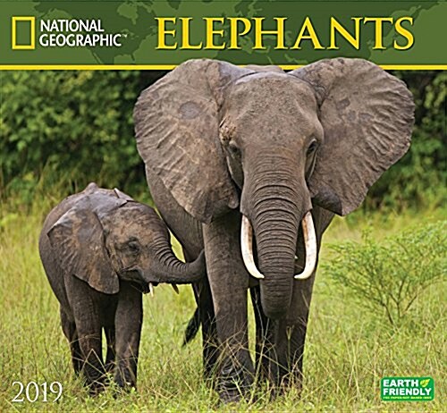 National Geographic Elephants 2019 Calendar (Wall)