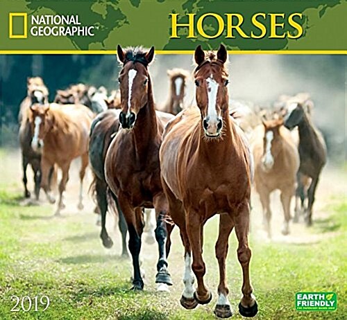 National Geographic Horses 2019 Calendar (Wall)