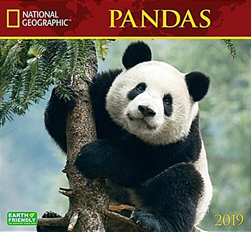 Cal 2019 National Geographic Pandas (Wall)