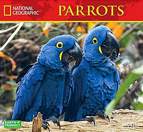 Cal 2019 National Geographic Parrots (Wall)