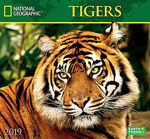 Cal 2019 National Geographic Tigers (Wall)
