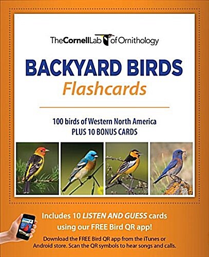 Bird Id Flash Cards (Western Na) (Other)