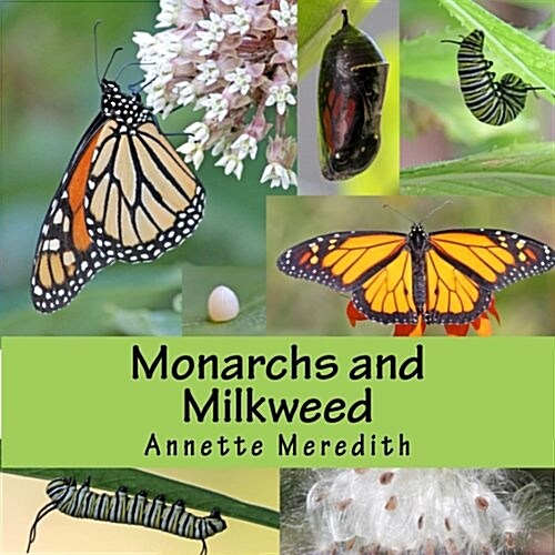 Monarchs and Milkweed (Paperback)