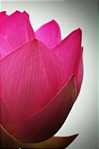 Lotus Notebook: 150 Lined Pages, Softcover, 6 X 9 (Paperback)