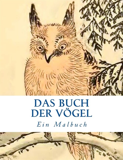 Das Buch der V?el: Ein Malbuch (Paperback)