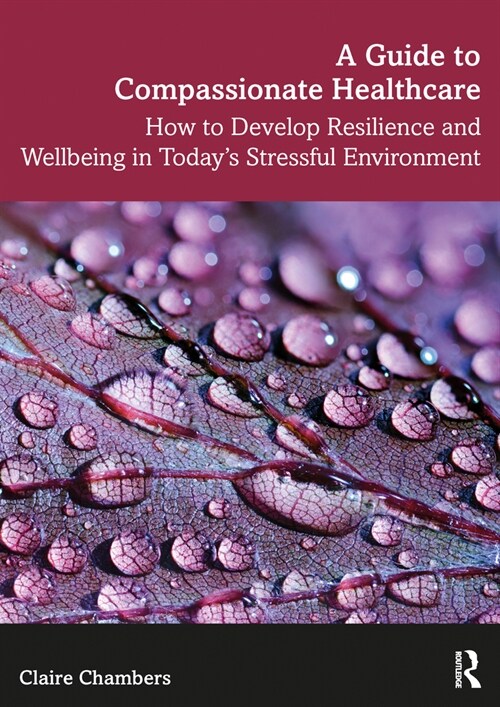 A Guide to Compassionate Healthcare : How to Develop Resilience and Wellbeing in Today’s Stressful Environment (Paperback)