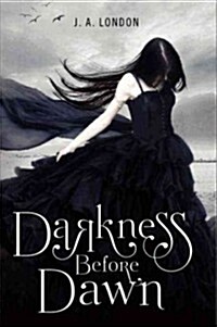 Darkness Before Dawn (Paperback)