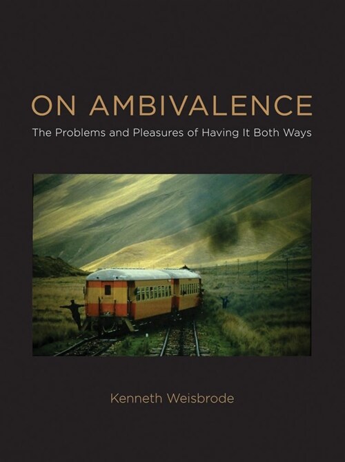 On Ambivalence: The Problems and Pleasures of Having It Both Ways (Hardcover)