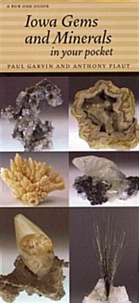 Iowa Gems and Minerals in Your Pocket (Other)