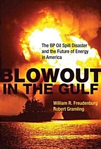 Blowout in the Gulf: The BP Oil Spill Disaster and the Future of Energy in America (Paperback)