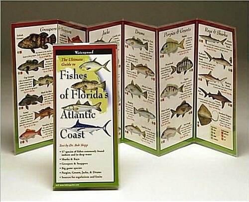 Fishes of Floridas Atlantic Coast (Other)