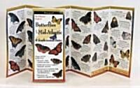 Common Butterflies of the Mid-Atlantic (Other)