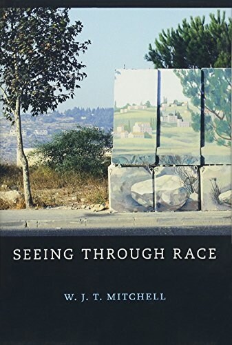Seeing Through Race (Hardcover)