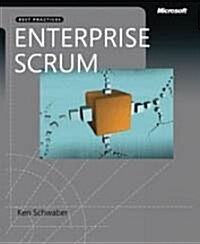 The Enterprise and Scrum (Paperback)