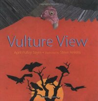 Vulture view