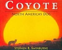 Coyote: North Americas Dog (Paperback)