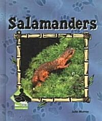 Salamanders (Library Binding)