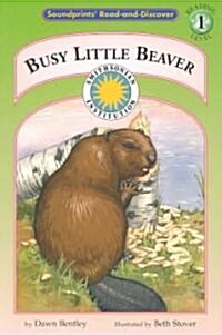 Busy Little Beaver (Paperback)
