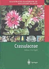 Illustrated Handbook of Succulent Plants: Crassulaceae (Paperback)