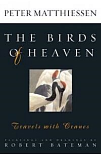 [중고] The Birds of Heaven (Paperback, 1st)