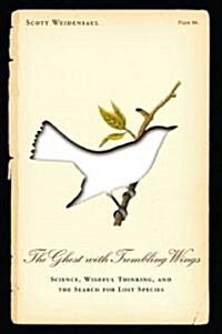 The Ghost with Trembling Wings (Paperback)