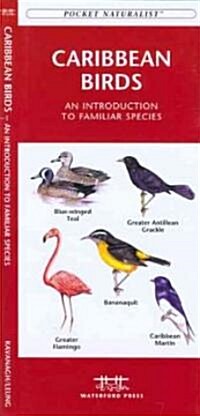 Caribbean Birds: An Introduction to Familiar Species (Paperback)