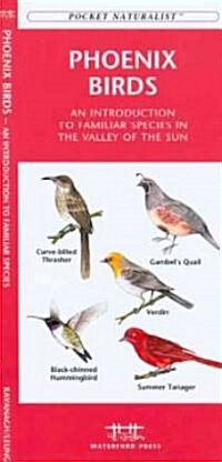 Phoenix Birds: An Introduction to Familiar Species in the Valley of the Sun (Paperback)
