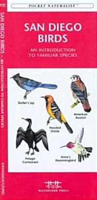 San Diego Birds: An Introduction to Familiar Species (Other)