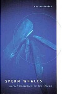 Sperm Whales: Social Evolution in the Ocean (Paperback)