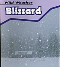 Blizzard (Paperback, Revised, Update)