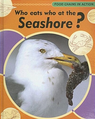 Who Eats Who at the Seashore? (Library Binding)