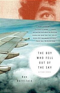 The Boy Who Fell Out of the Sky: A True Story (Paperback)