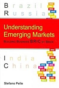 Understanding Emerging Markets: Building Business Bric by Brick (Paperback)