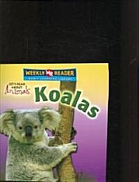 Koalas (Paperback)